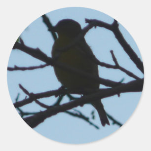 Sticker Rond oiseau, silhouette