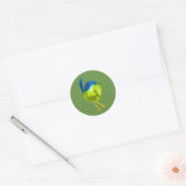 Sticker Rond Oiseau vert mignon (Enveloppe)