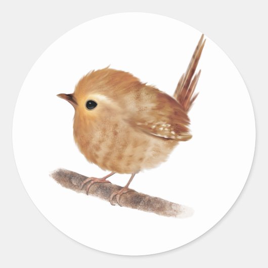 Sticker Rond Oiseau Wren Personnalisé (Devant)