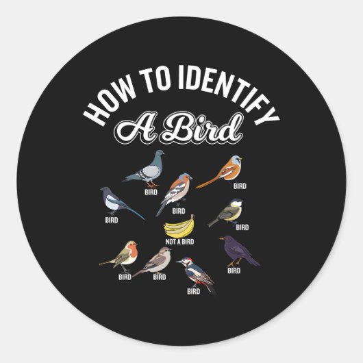 Sticker Rond Oiseaux Comment Identifier Un Oiseau Oiseau (Devant)