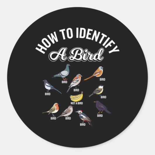 Sticker Rond Oiseaux Comment Identifier Un Oiseau Oiseau (Devant)