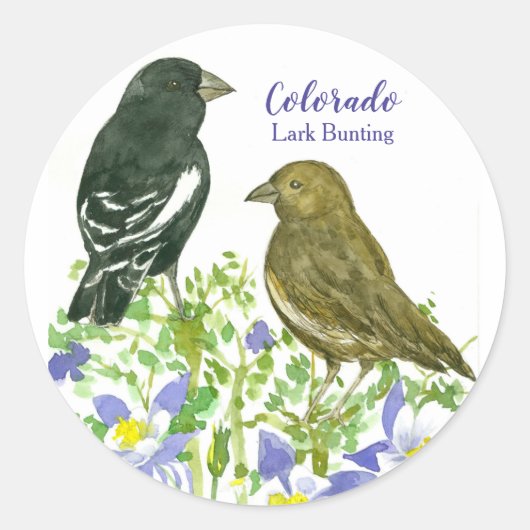 Sticker Rond Oiseaux de brume Colorado Columbine (Devant)