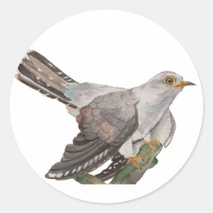 Sticker Rond Oiseaux de la forêt