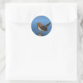 STICKER ROND OISEAUX HYPER / ROBIN BREAST ROUGE (Sac)