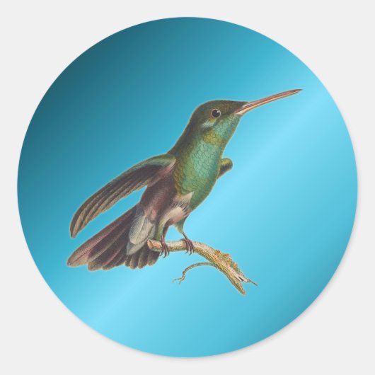 Sticker Rond Oiseaux sauvages de la nature Colibri (Devant)