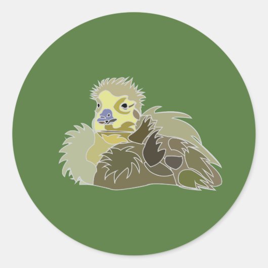 Sticker Rond Oison Bébé Oie (Devant)