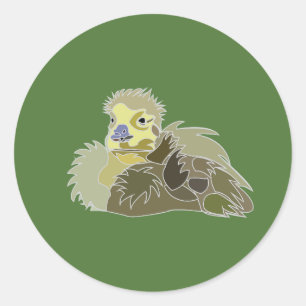 Sticker Rond Oison Bébé Oie