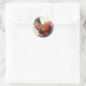 Sticker Rond Ole Red Rooster (Sac)