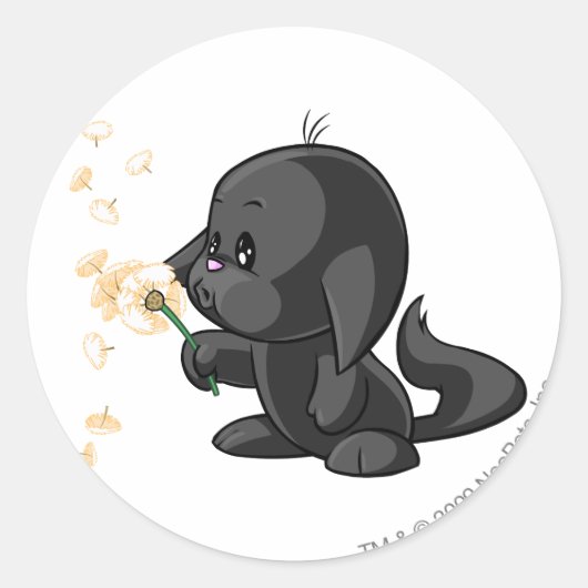 Sticker Rond Ombre de Kacheek (Devant)