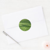 Sticker Rond Ombres dans l'herbe (Enveloppe)