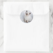Sticker Rond One young ragdoll cat sitting on in chair (Sac)