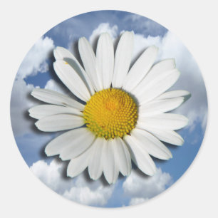 Sticker Rond Only a Marguerite Blossom + your text & ideas