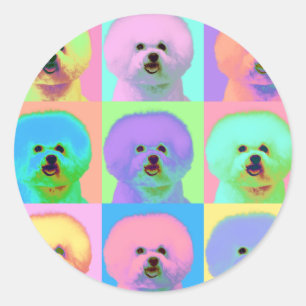 Sticker Rond Op Art - Bichon Frise - Cody