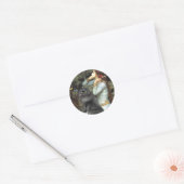 Sticker Rond Ophelia - chat persan noir (Enveloppe)