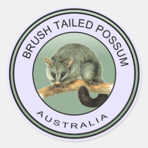 Sticker Rond Opossum coupé la queue par brosse australienne