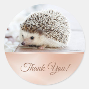 Sticker Rond Or Rose de hérisson mignon