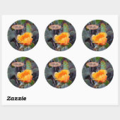 Sticker Rond Orange Cactus Fleur Blossom Prickly Pear Opuntia (Feuille)