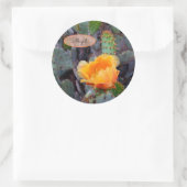 Sticker Rond Orange Cactus Fleur Blossom Prickly Pear Opuntia (Sac)
