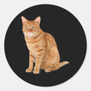 Sticker Rond Orange Chat Tab Funny Chat Parodie Amoureux des ch