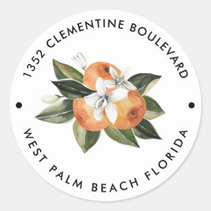 Sticker Rond Orange Cutie Tangerine Adresse de retour