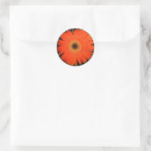 Sticker Rond Orange Gerber Daisy (Sac)