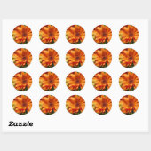 Sticker Rond Orange Gerbera (Feuille)