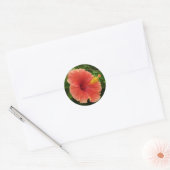Sticker Rond Orange Hibiscus Fleur Tropical Floral (Enveloppe)