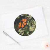 Sticker Rond Orange Noir Monarque Papillon Nature Photographie (Enveloppe)