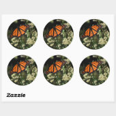 Sticker Rond Orange Noir Monarque Papillon Nature Photographie (Feuille)