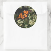 Sticker Rond Orange Noir Monarque Papillon Nature Photographie (Sac)