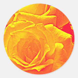 Sticker Rond orange rose fluorescent