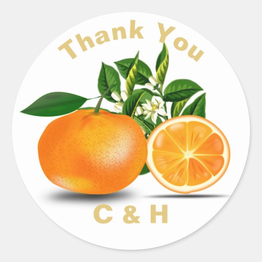 Sticker Rond Oranges de Floride & Fleur personnalisée (Devant)