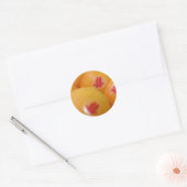Sticker Rond Oranges de Shuan Xi (Enveloppe)
