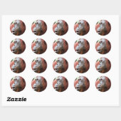 Sticker Rond Orangutan (Feuille)