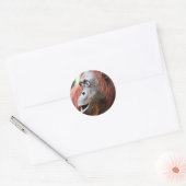Sticker Rond Orangutan (Enveloppe)