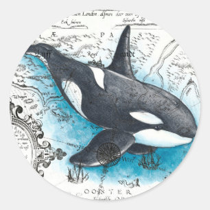 Sticker Rond Orca Baleine Bleu Aquarelle Carte Nautique
