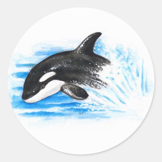 Sticker Rond Orca Breaching (Devant)