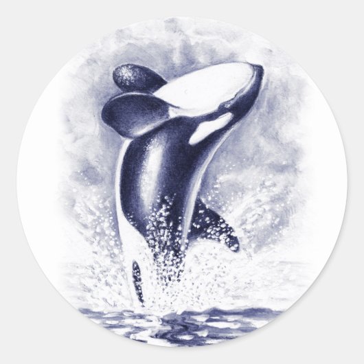 Sticker Rond Orca Breaching (Devant)