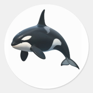 Sticker Rond Orca en mouvement