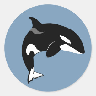 Sticker Rond Orca Killer Whale