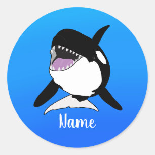 Sticker Rond Orca Killer Whale