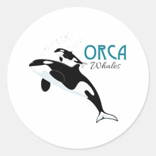 Sticker Rond Orca Whales
