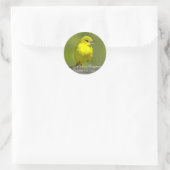 Sticker Rond Orchard Oriole - Photo originale (Sac)