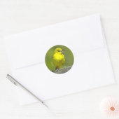 Sticker Rond Orchard Oriole - Photo originale (Enveloppe)