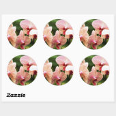 Sticker Rond Orchid hybride, Afrique du Sud (Feuille)