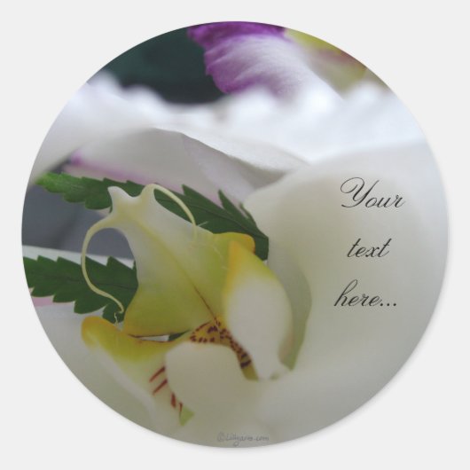 Sticker Rond Orchidée Blanche Beauté Mariage Invitations Phoque (Devant)
