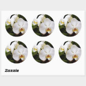 Sticker Rond Orchidée Lune Blanche (Phalaenopsis Aphrodite) (Feuille)