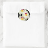 Sticker Rond Orchidée - Miltoniopsis - Les Trois Amis (Sac)
