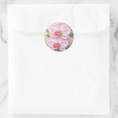Sticker Rond Orchidée Phalaenopsis Rose Clair (Sac)