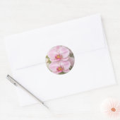 Sticker Rond Orchidée Phalaenopsis Rose Clair (Enveloppe)